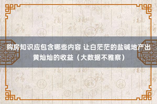 购房知识应包含哪些内容 让白茫茫的盐碱地产出黄灿灿的收益（大数据不雅察）