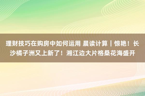 理财技巧在购房中如何运用 晨读计算｜惊艳！长沙橘子洲又上新了！湘江边大片格桑花海盛开