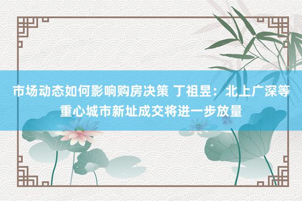 市场动态如何影响购房决策 丁祖昱：北上广深等重心城市新址成交将进一步放量