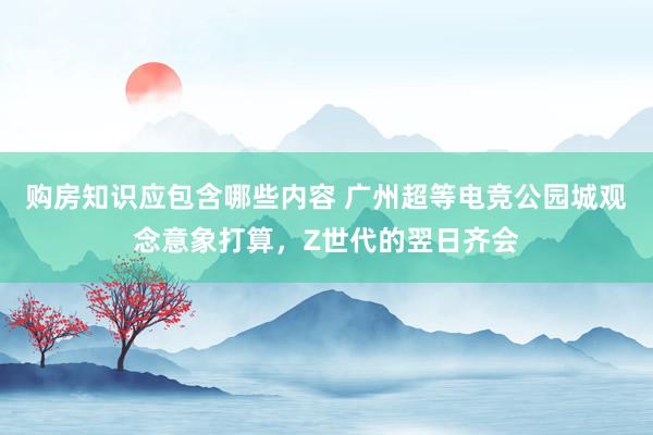 购房知识应包含哪些内容 广州超等电竞公园城观念意象打算，Z世代的翌日齐会