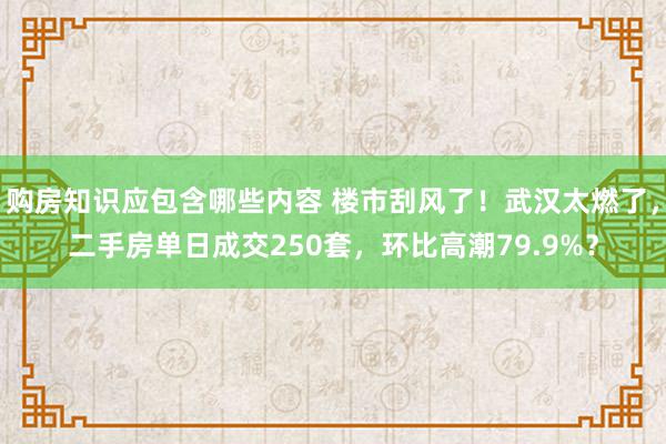 购房知识应包含哪些内容 楼市刮风了！武汉太燃了，二手房单日成交250套，环比高潮79.9%？