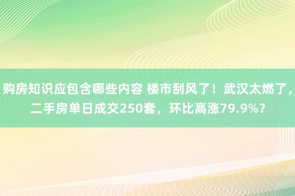 购房知识应包含哪些内容 楼市刮风了！武汉太燃了，二手房单日成交250套，环比高涨79.9%？