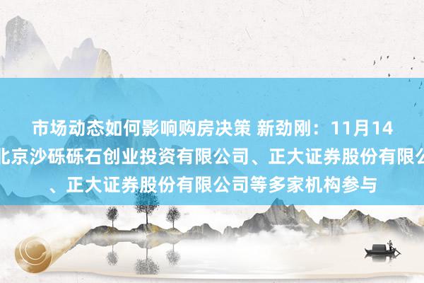 市场动态如何影响购房决策 新劲刚：11月14日禁受机构调研，北京沙砾砾石创业投资有限公司、正大证券股份有限公司等多家机构参与