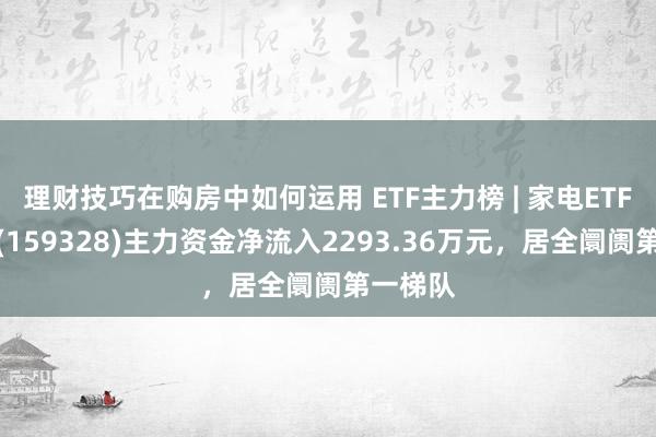 理财技巧在购房中如何运用 ETF主力榜 | 家电ETF易方达(159328)主力资金净流入2293.36万元，居全阛阓第一梯队