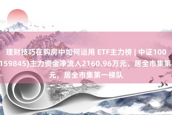 理财技巧在购房中如何运用 ETF主力榜 | 中证1000ETF(159845)主力资金净流入2160.96万元，居全市集第一梯队