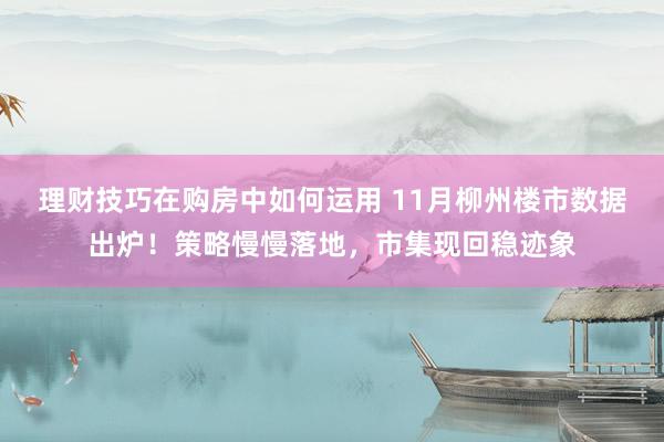 理财技巧在购房中如何运用 11月柳州楼市数据出炉！策略慢慢落地，市集现回稳迹象