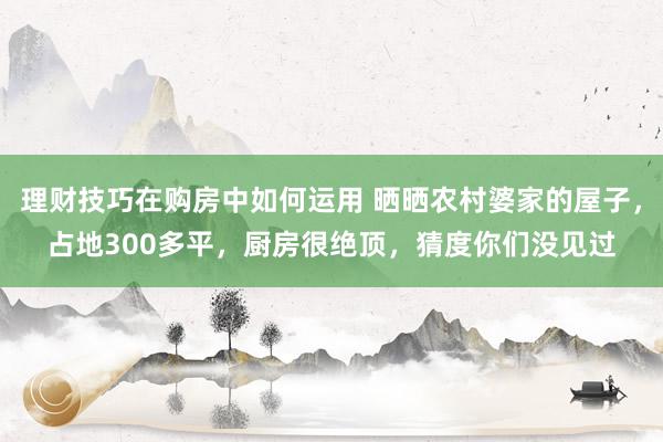 理财技巧在购房中如何运用 晒晒农村婆家的屋子，占地300多平，厨房很绝顶，猜度你们没见过