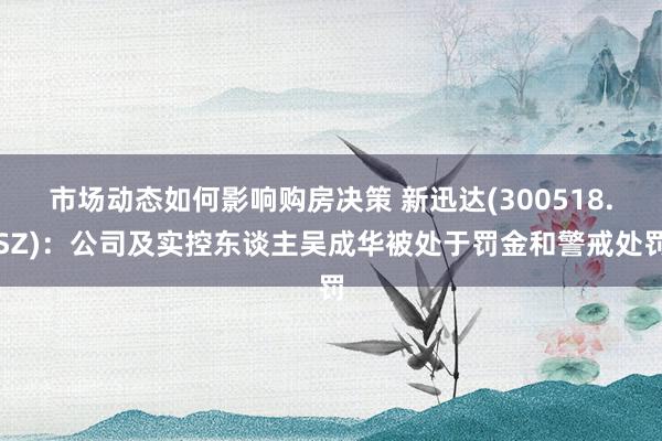 市场动态如何影响购房决策 新迅达(300518.SZ)：公司及实控东谈主吴成华被处于罚金和警戒处罚