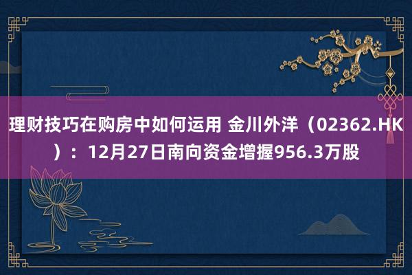 理财技巧在购房中如何运用 金川外洋（02362.HK）：12月27日南向资金增握956.3万股