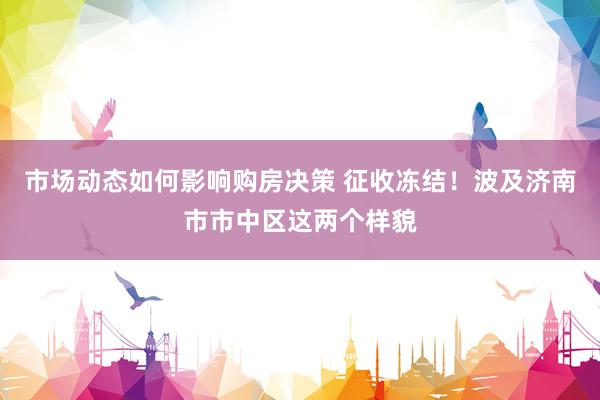 市场动态如何影响购房决策 征收冻结！波及济南市市中区这两个样貌