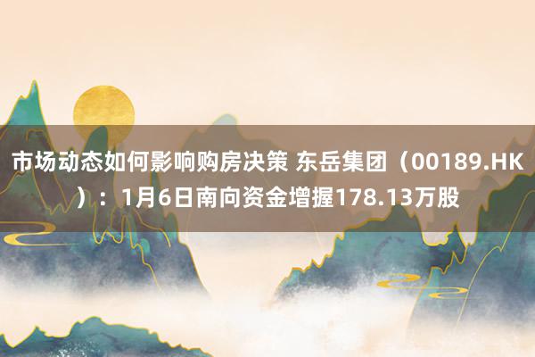 市场动态如何影响购房决策 东岳集团（00189.HK）：1月6日南向资金增握178.13万股