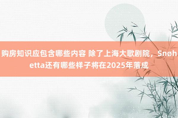 购房知识应包含哪些内容 除了上海大歌剧院，Snøhetta还有哪些样子将在2025年落成