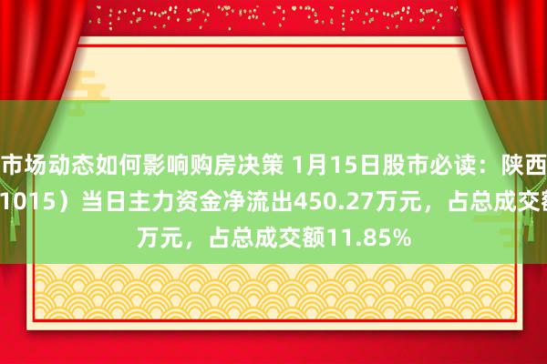 市场动态如何影响购房决策 1月15日股市必读：陕西黑猫（601015）当日主力资金净流出450.27万元，占总成交额11.85%