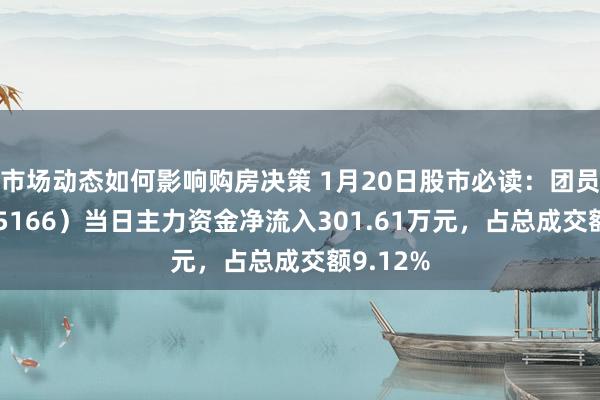 市场动态如何影响购房决策 1月20日股市必读：团员顺（605166）当日主力资金净流入301.61万元，占总成交额9.12%