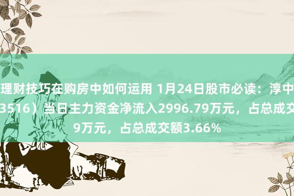 理财技巧在购房中如何运用 1月24日股市必读：淳中科技（603516）当日主力资金净流入2996.79万元，占总成交额3.66%