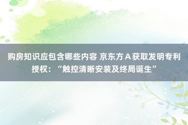 购房知识应包含哪些内容 京东方Ａ获取发明专利授权：“触控清晰安装及终局诞生”