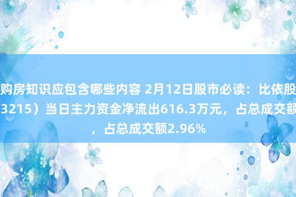 购房知识应包含哪些内容 2月12日股市必读：比依股份（603215）当日主力资金净流出616.3万元，占总成交额2.96%