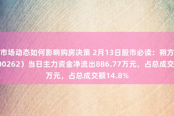 市场动态如何影响购房决策 2月13日股市必读：朔方股份（600262）当日主力资金净流出886.77万元，占总成交额14.8%