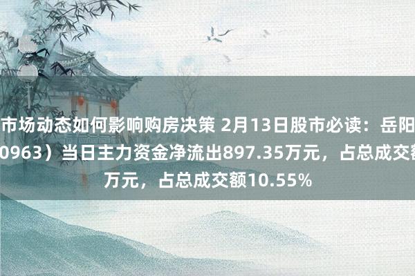 市场动态如何影响购房决策 2月13日股市必读：岳阳林纸（600963）当日主力资金净流出897.35万元，占总成交额10.55%