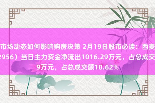 市场动态如何影响购房决策 2月19日股市必读：西麦食物（002956）当日主力资金净流出1016.29万元，占总成交额10.62%