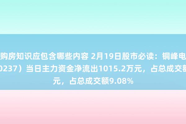 购房知识应包含哪些内容 2月19日股市必读：铜峰电子（600237）当日主力资金净流出1015.2万元，占总成交额9.08%