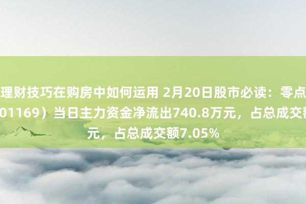 理财技巧在购房中如何运用 2月20日股市必读：零点罕有（301169）当日主力资金净流出740.8万元，占总成交额7.05%