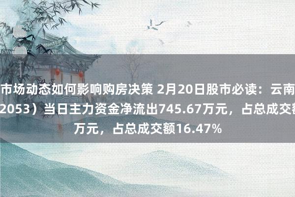 市场动态如何影响购房决策 2月20日股市必读：云南能投（002053）当日主力资金净流出745.67万元，占总成交额16.47%