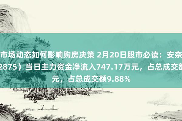 市场动态如何影响购房决策 2月20日股市必读：安奈儿（002875）当日主力资金净流入747.17万元，占总成交额9.88%