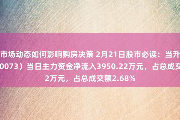 市场动态如何影响购房决策 2月21日股市必读：当升科技（300073）当日主力资金净流入3950.22万元，占总成交额2.68%