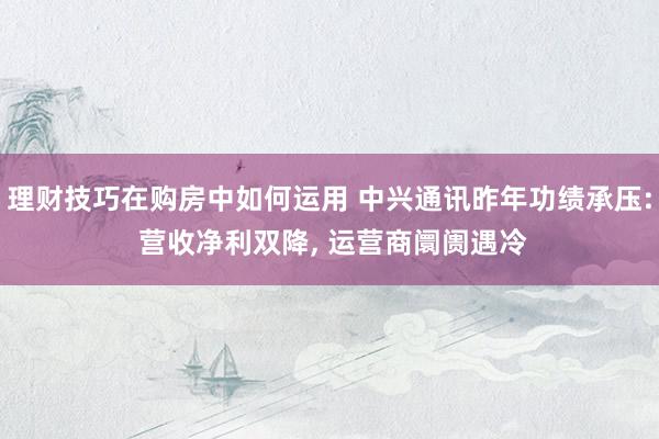 理财技巧在购房中如何运用 中兴通讯昨年功绩承压: 营收净利双降, 运营商阛阓遇冷