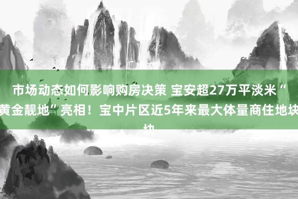 市场动态如何影响购房决策 宝安超27万平淡米“黄金靓地”亮相！宝中片区近5年来最大体量商住地块