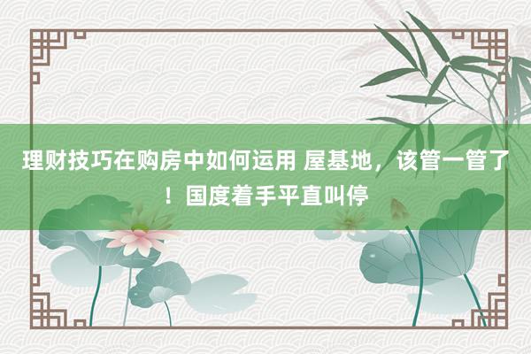 理财技巧在购房中如何运用 屋基地，该管一管了！国度着手平直叫停