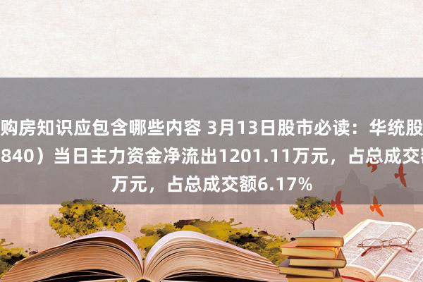 购房知识应包含哪些内容 3月13日股市必读：华统股份（002840）当日主力资金净流出1201.11万元，占总成交额6.17%